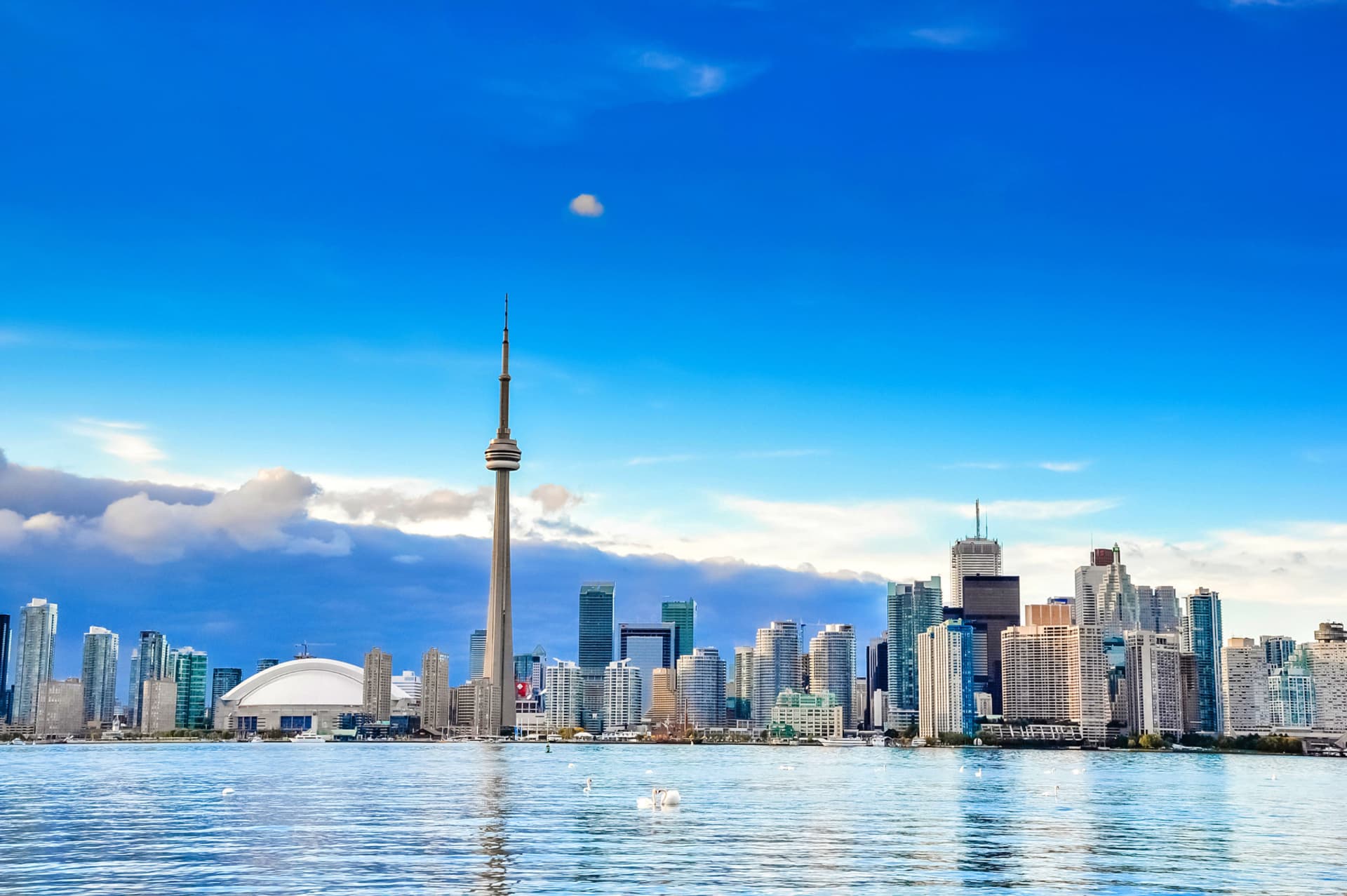 Diaspora Impact Canada